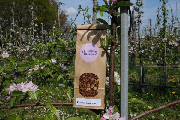 Tropicana - rooibos thee - Afbeelding 2