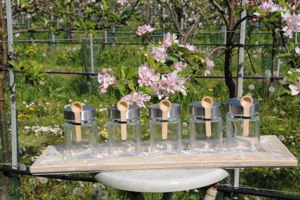 Theepotjes glas met lepel - Afbeelding 2
